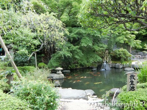 10-days-in-japan-fuji-kamakura-26