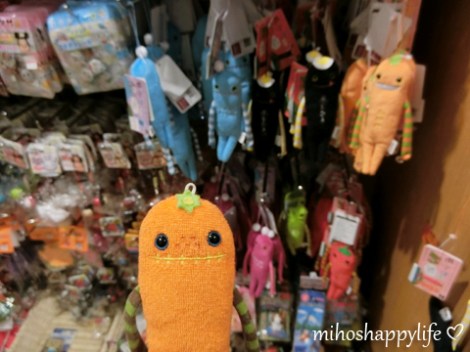 10-days-in-japan-fuji-kamakura-8