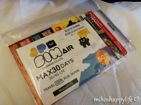 winter-in-japan-tokyo-sim