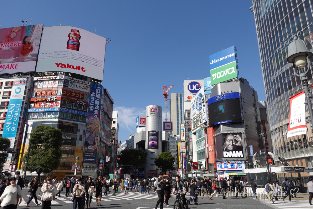 My Tokyo Diary – A Record of my Adventures in the City | Miho's