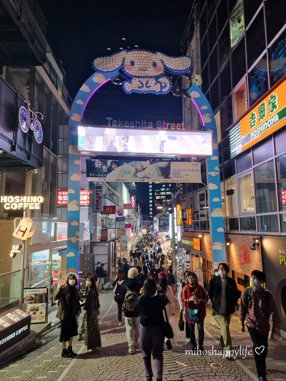 My Tokyo Diary – A Record of my Adventures in the City | Miho's