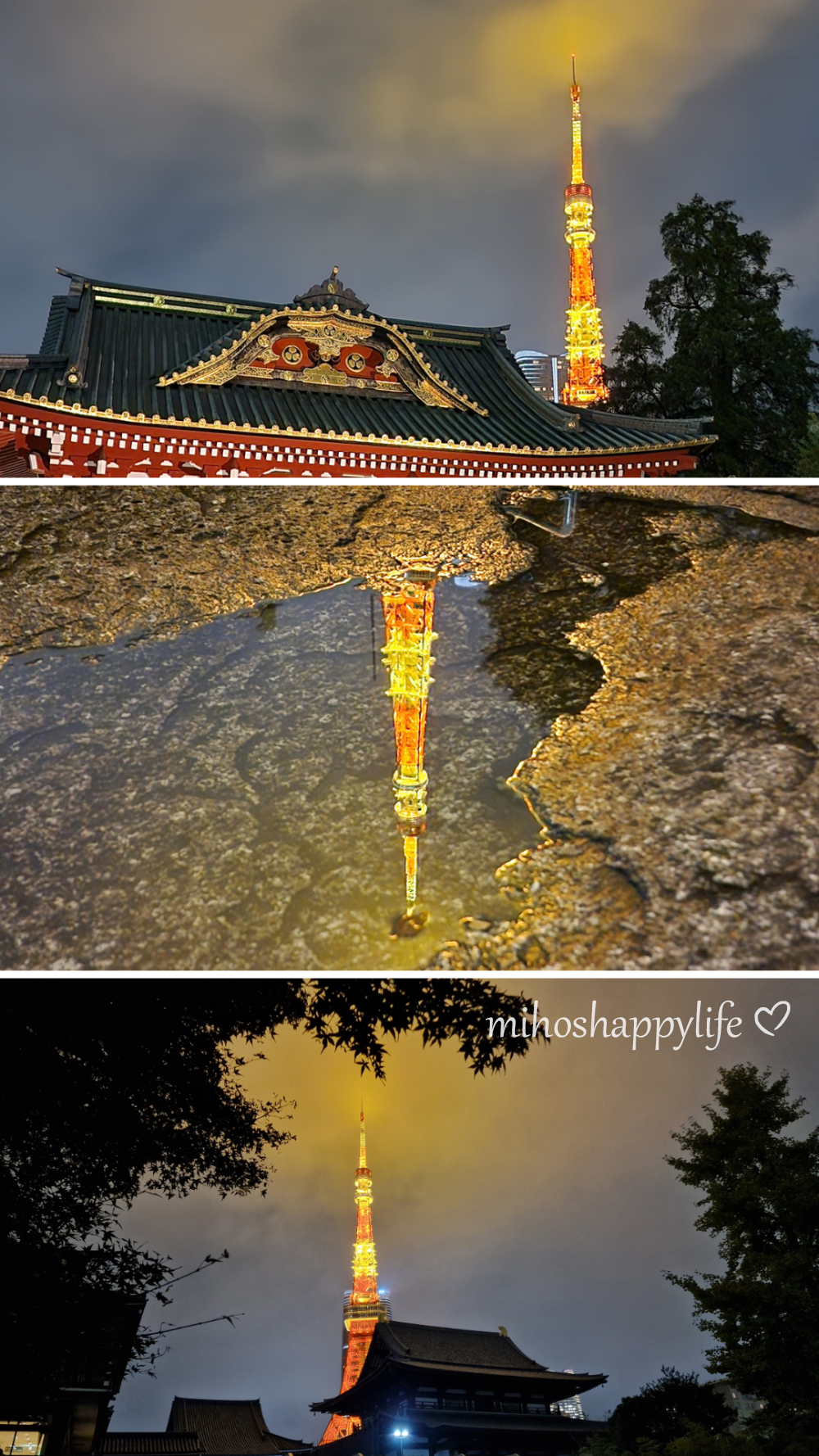 Best of Tokyo | Japan Travel Diary | Miho's Happy Life